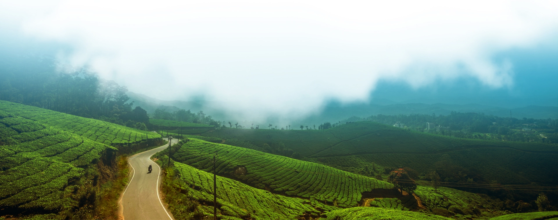 nature friendly mountain view resorts in munnar