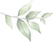 welcome to munnar misty waterfall view resort